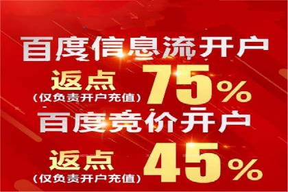 低成本高回报：百度包年竞价实战技巧揭秘