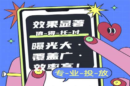 搜索引擎优化（SEO）与竞价广告（SEM）的对比案例
